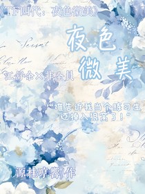 TF四代：夜色微美