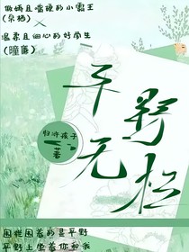 平野无栏