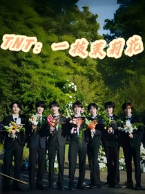 TNT：一枝茉莉花