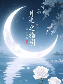 月光的指引
