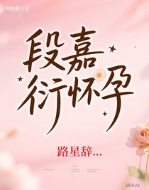 段嘉衍怀孕