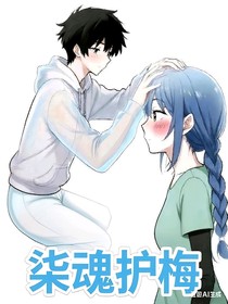 柒魂护梅