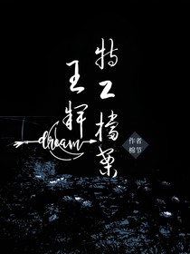 王牌：特工档案