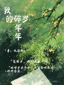 我的碎岁年年