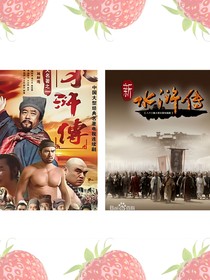 新水浒传（招安）