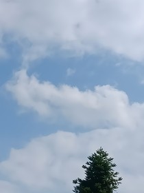 暗香笔录