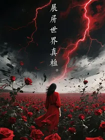 副本：我要揭开世界的真相
