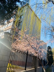 萤火与月光