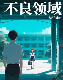 不良领域