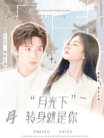 王安宇：月光下转身就是你