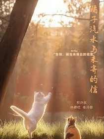 橘子汽水与未寄的信