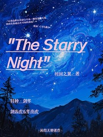 TheStarryNight