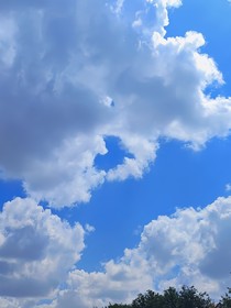居然在飞机上遇到了死对头