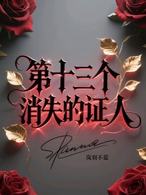 第十三个消失的证人