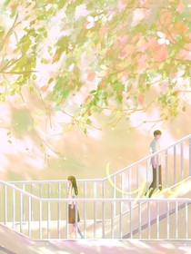 错过的那场盛夏