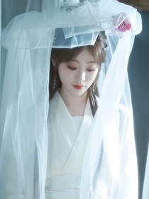 宝莲灯之戬芸之恋