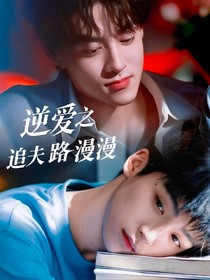 逆爱之追夫路漫漫