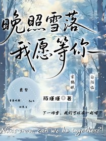 晚照雪落，我愿等你