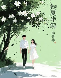 知夏半解