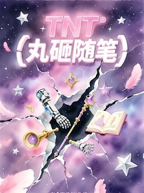 丸砸随笔小摊
