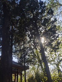 昼夜交替永不更迭