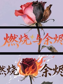 燃烧与余烬