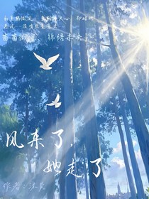 风来了，她走了