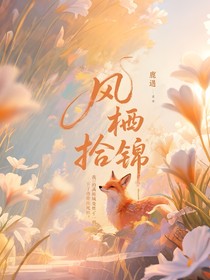 风栖拾锦