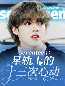 seventeen：星轨上的十三次心动
