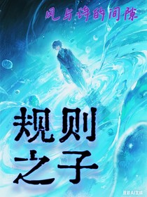 规则之子