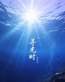 寻光时