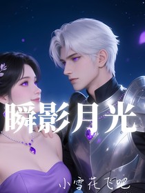 瞬影月光-d045