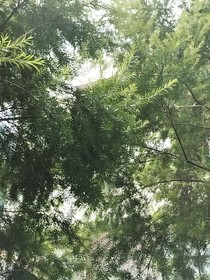 其实我不是这个世界的人