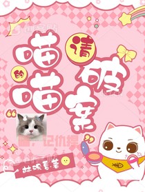 TOP：喵喵请破案