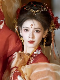 综影：女配逆命手册