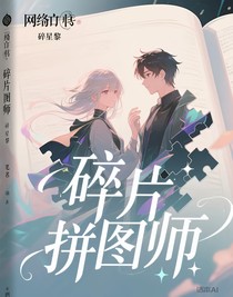碎片拼图师