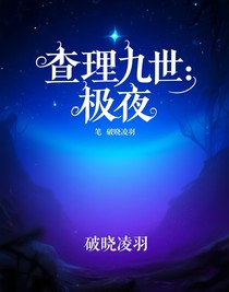 查理九世：极夜