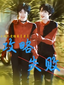 翔霖：攻略失败