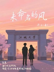 未命名的风
