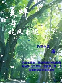 夏蝉与晚风未迟