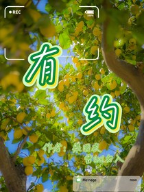 有约（甜文）