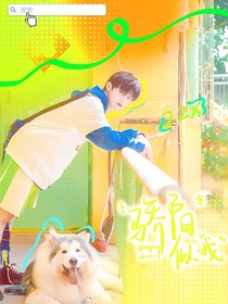 朱志鑫：骄阳似我