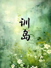 训岛