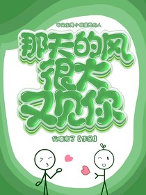 那天的风很大，又见你