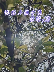 是短篇小说合集
