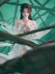 完美的世界不完美的我