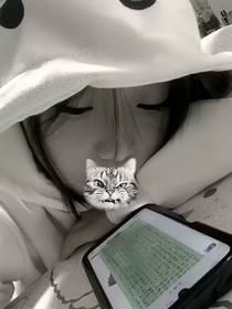 六环
