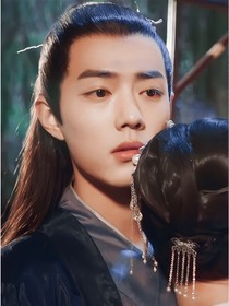 星河渡我：攻略冷面宸王手札