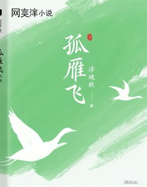 孤雁飞