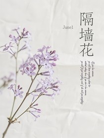 TNT：隔墙花